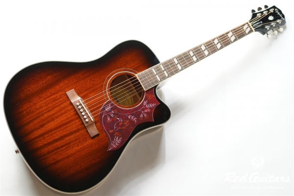 LTD HUMMINGBIRD PRO